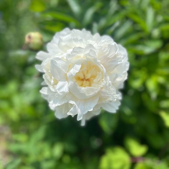 Welcome to my closet! - Picture 7 of 7